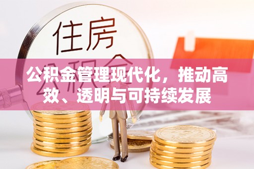 铜锣公积金管理现代化，推动高效、透明与可持续发展
