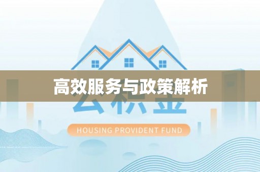 铜锣高效服务与政策解析